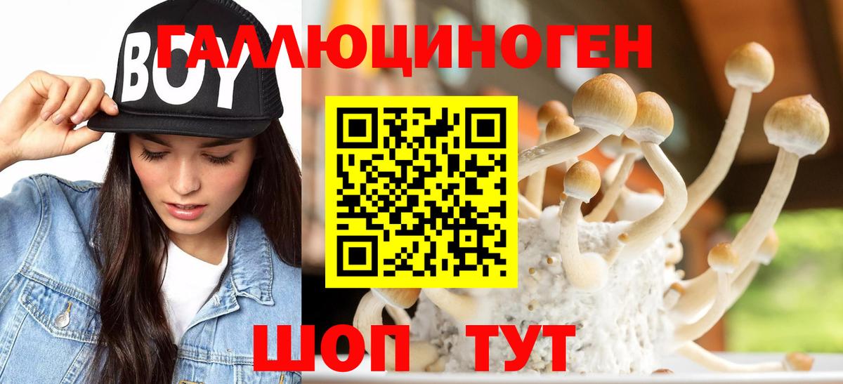 Галлюциногенные грибы Cubensis  Вход с VPN  Кунгур 